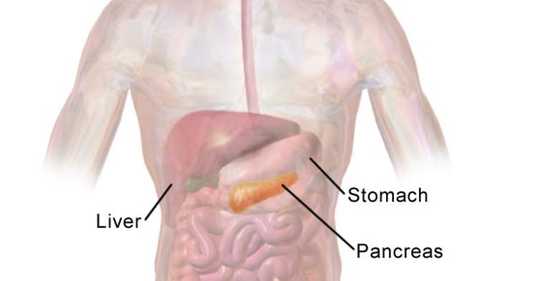 The Challenges And Treatment Advances Of Pancreatic Cancer