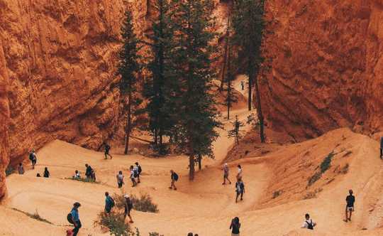 Summer Visitors To American Parks Choose Safety First Over Freedom To Roam